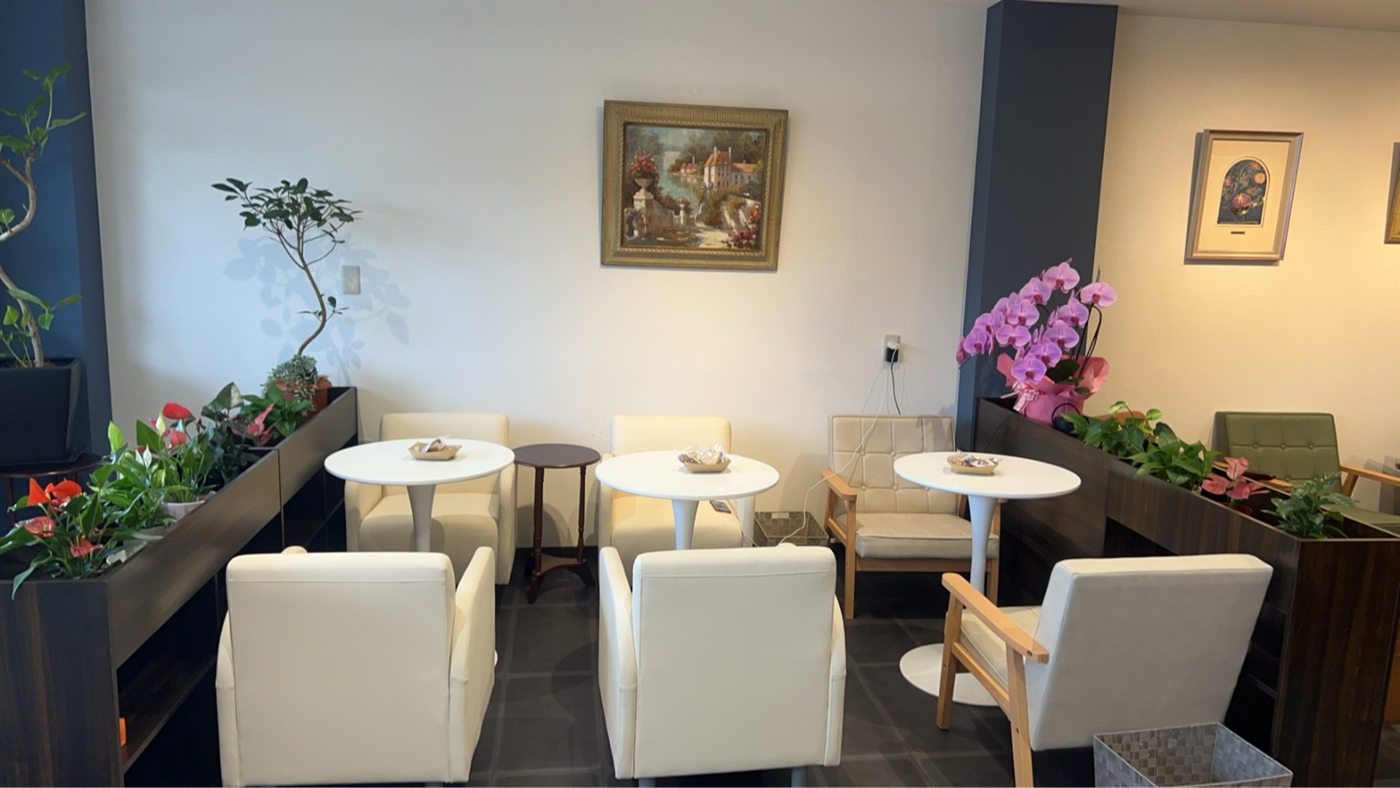 植物と白い椅子が並ぶ明るい店内